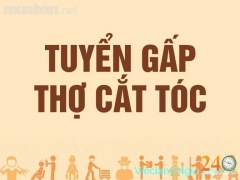 Tuyển Thợ Cắt Tóc Nam Nữ Ở Bình Tân
